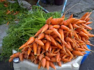 Carrots by Thamizhpparithi Maari for Wikimedia